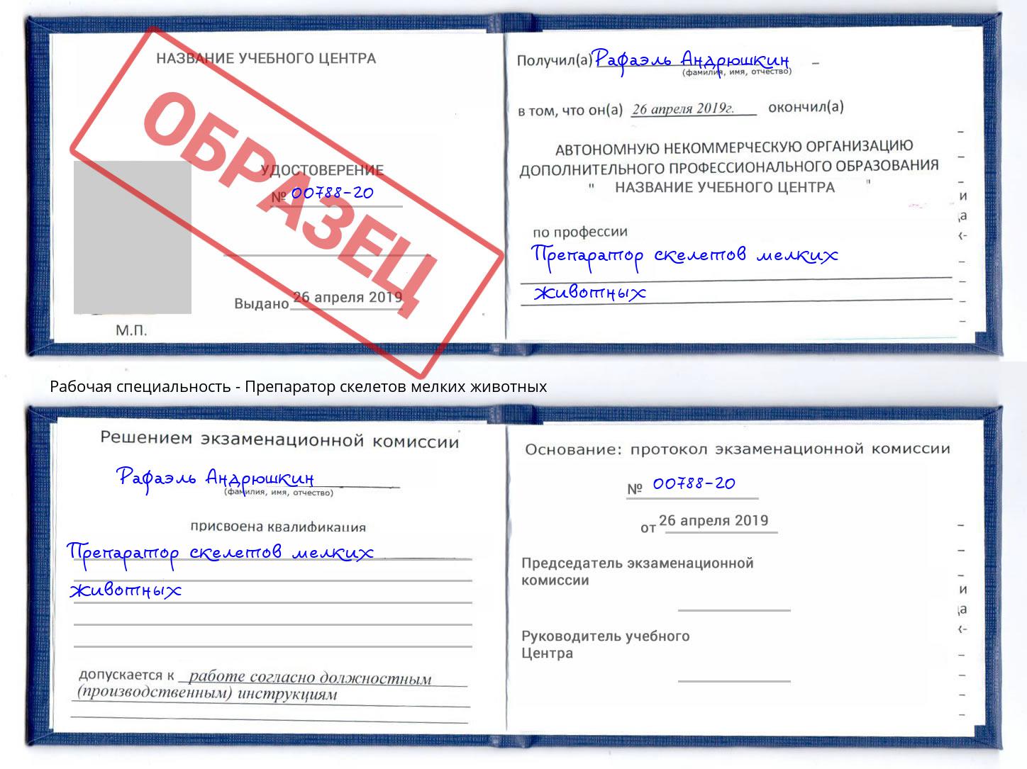 Препаратор скелетов мелких животных Якутск