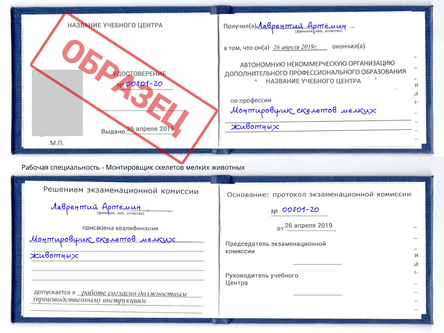 Монтировщик скелетов мелких животных Якутск