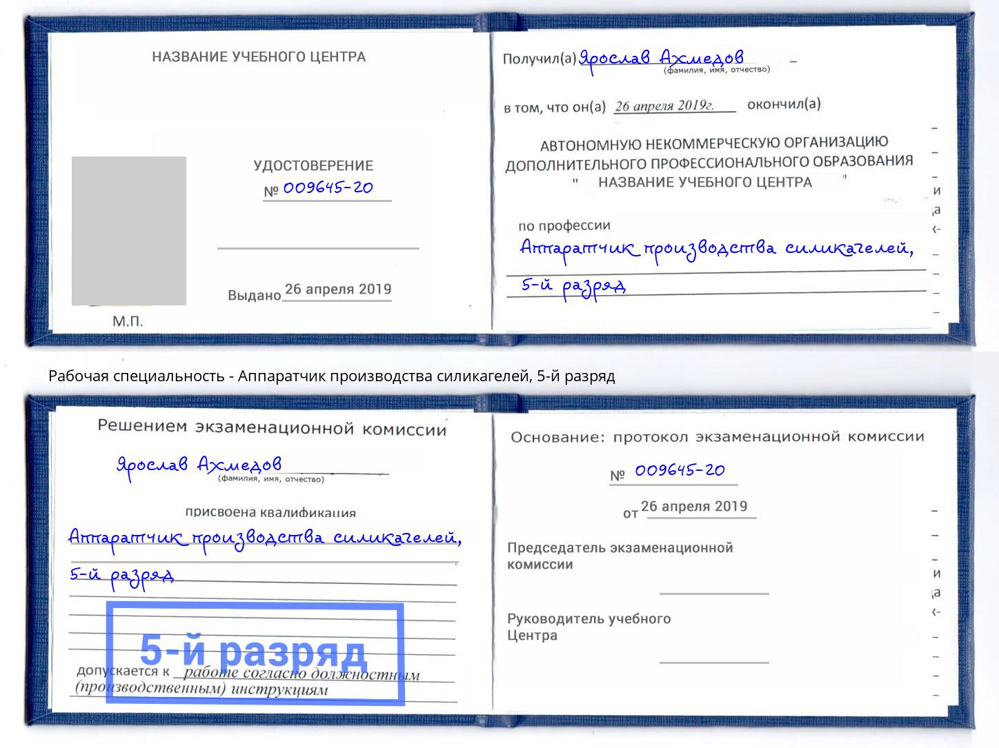 корочка 5-й разряд Аппаратчик производства силикагелей Якутск