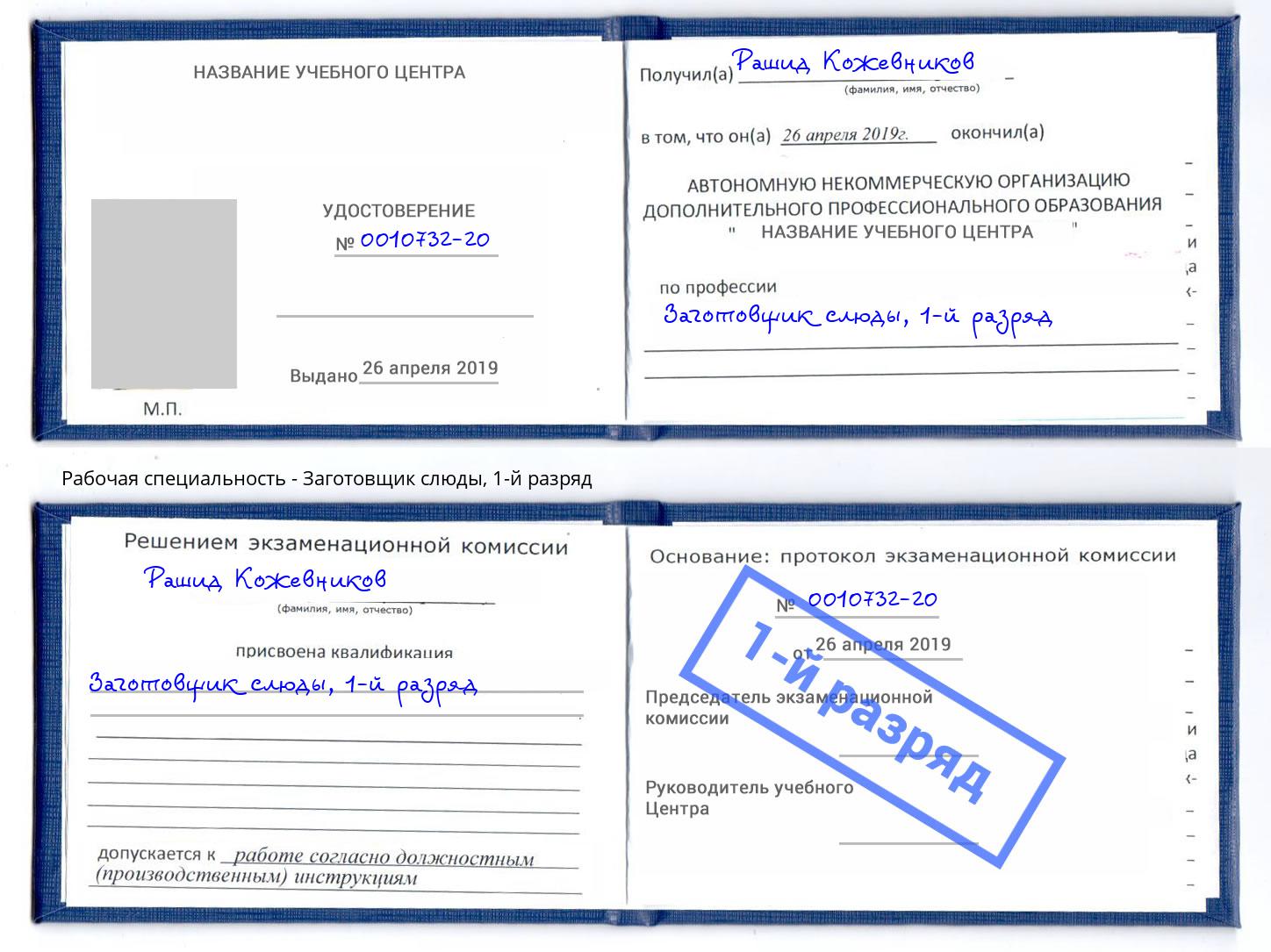 корочка 1-й разряд Заготовщик слюды Якутск